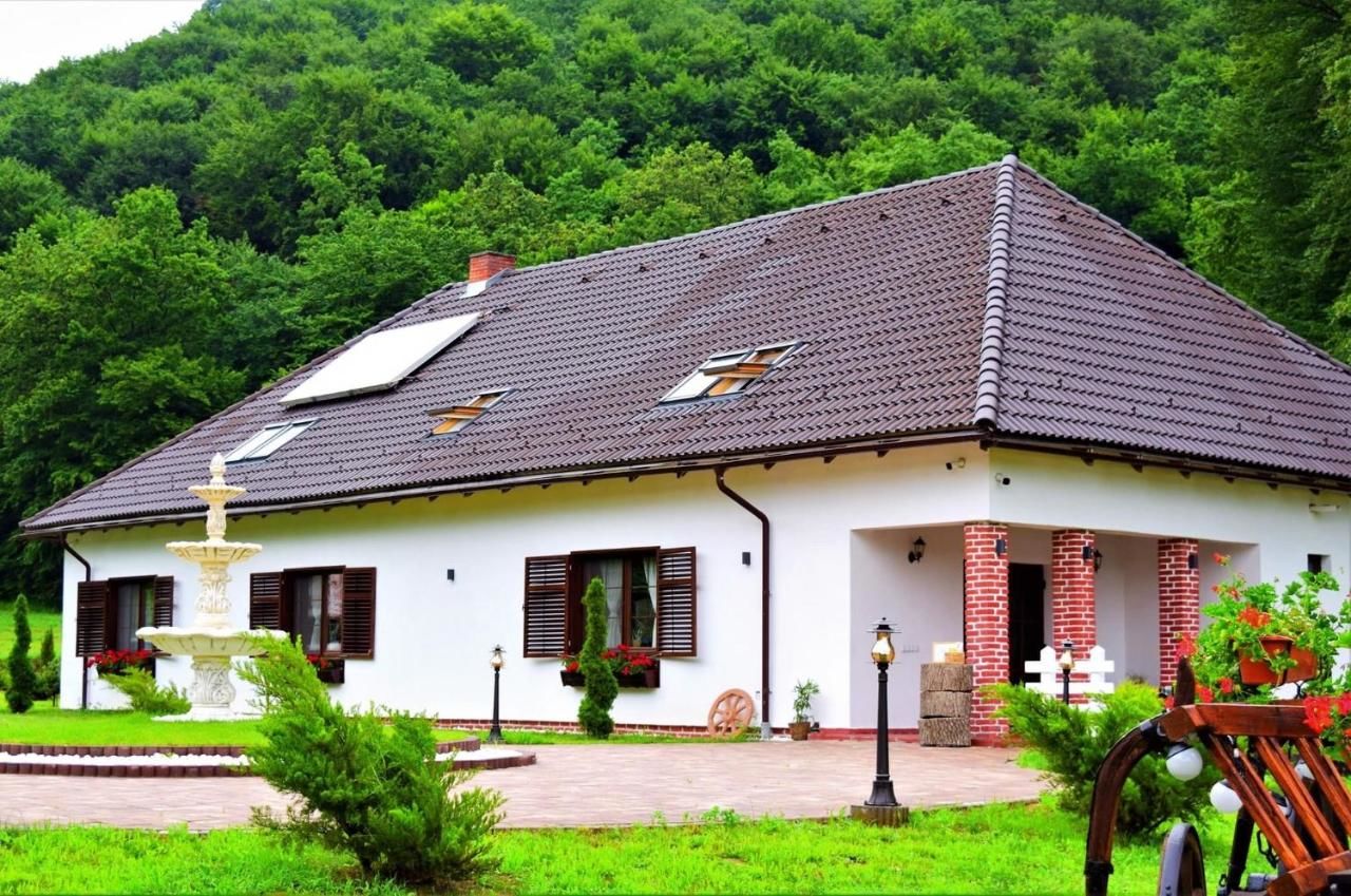 Гостевой дом Domeniul Poiana Ursului Dumbrăveni